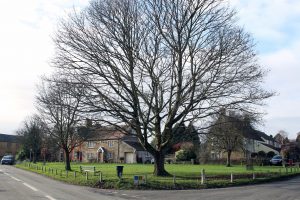 Stoford Village Green