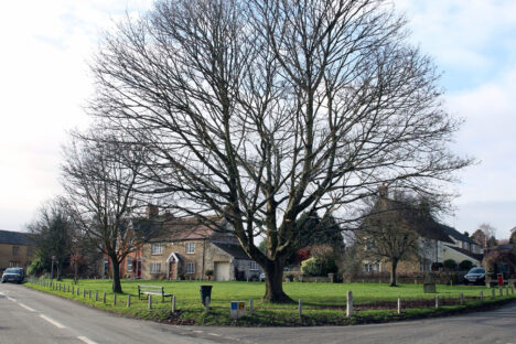 Stoford Village Green